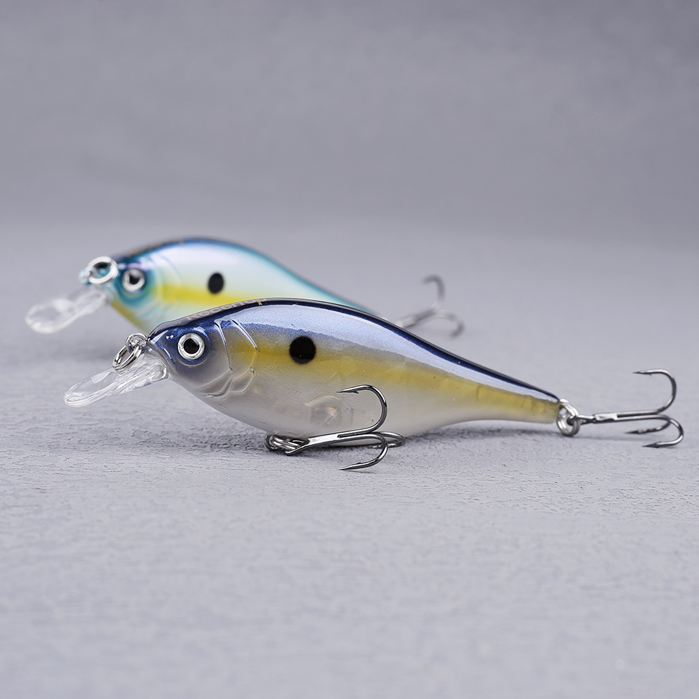 CCLTBA-SEÑUELOS DE pesca de sá - Fishing Lure Jerkbait reseña y precio