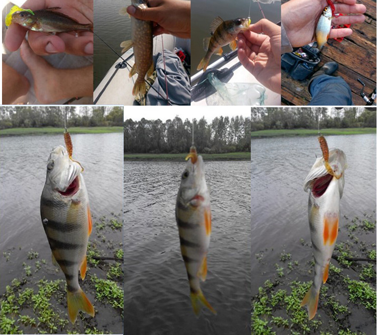 JYJ 5 unids/bolsa 1g anzuelo c - Fishing Lure Soft Plastic reseña y precio